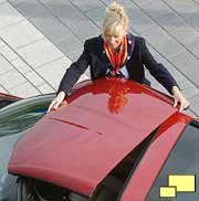 2005 Corvette targa roof